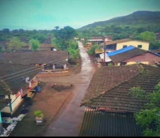 रस्त्यांच्या दोन्ही बाजूला फळभाज्यां लावून गाव प्रदुषणमुक्त