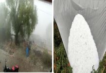 राज्यातील काही जिल्ह्यात वादळी वाऱ्यांसह गारपीट आणि मुसळधार पाऊस