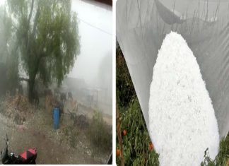राज्यातील काही जिल्ह्यात वादळी वाऱ्यांसह गारपीट आणि मुसळधार पाऊस