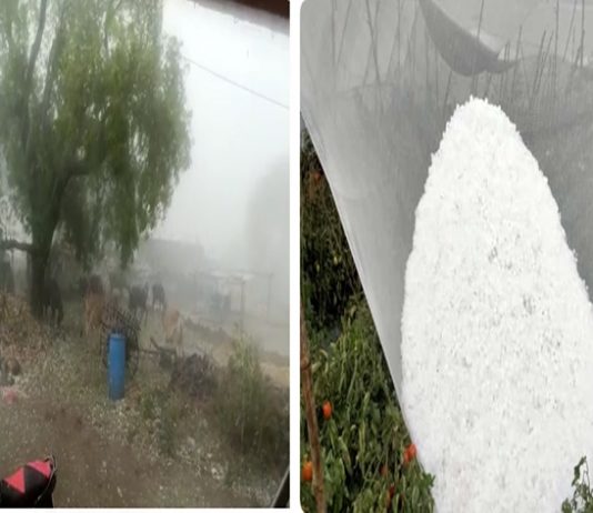 राज्यातील काही जिल्ह्यात वादळी वाऱ्यांसह गारपीट आणि मुसळधार पाऊस