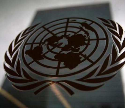 संयुक्त राष्ट्र सांख्यिकी आयोग, अंमली पदार्थ विरोधी आयोग आणि संयुक्त राष्ट्र एड्स समन्वय मंडळात भारताची एक सदस्य म्हणून निवड