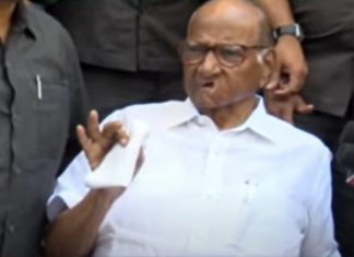 शरद पवार राजीनाम्याबाबत १-२ दिवसांत अंतिम भूमिका घेणार