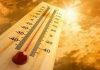 येत्या दोन दिवसांत राज्याच्या काही भागात उष्णतेची लाट येण्याचा हवामान विभागाचा अंदाज