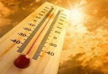 येत्या दोन दिवसांत राज्याच्या काही भागात उष्णतेची लाट येण्याचा हवामान विभागाचा अंदाज