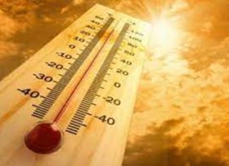 येत्या दोन दिवसांत राज्याच्या काही भागात उष्णतेची लाट येण्याचा हवामान विभागाचा अंदाज