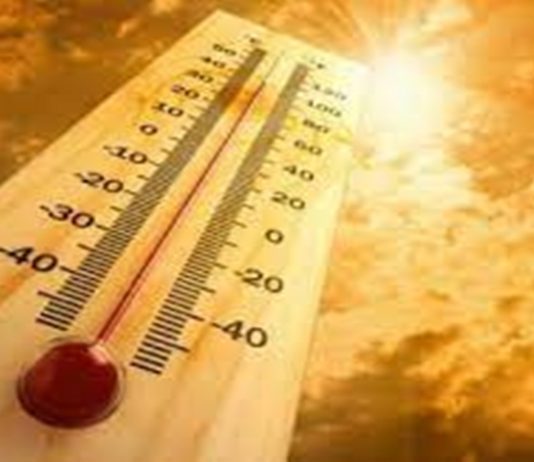 येत्या दोन दिवसांत राज्याच्या काही भागात उष्णतेची लाट येण्याचा हवामान विभागाचा अंदाज