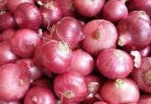 उन्हाळी कांद्याच्या भावातली घसरण रोखण्यासाठी नाफेडमार्फत उद्यापासून कांदा खरेदीला प्रारंभ