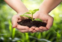 “प्लास्टिकमुळे होणारं प्रदूषण रोखा” ही यंदाच्या पर्यावरण दिनाची संकल्पना