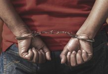 दहशतवाद आणि फुटीरतावादाला चालना देण्यासाठी वापरण्यात आलेल्या १२४ मालमत्ता जप्त करण्यासाठी एस आय ए आणि जम्मू काश्मीर पोलिसांच्या कायदेशीर मोहिमेला सुरूवात