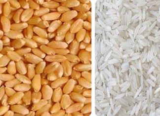 किरकोळ दरांवर आधारित चलनवाढ रोखण्यासाठी गहू आणि तांदळाचा ई-लिलाव करण्याचे केंद्र सरकारचे भारतीय अन्न महामंडळाला निर्देश