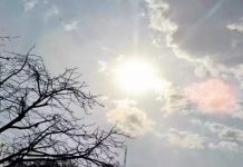 जगाचं तापमान प्रत्येक दशकात शून्य पूर्णांक दोन अंशांनी वाढत असल्याचा ५० आघाडीच्या शास्त्रज्ञांचा इशारा