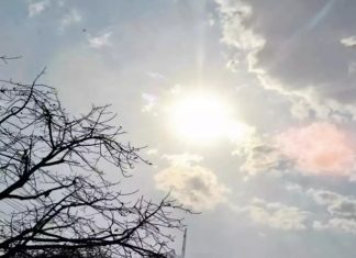 जगाचं तापमान प्रत्येक दशकात शून्य पूर्णांक दोन अंशांनी वाढत असल्याचा ५० आघाडीच्या शास्त्रज्ञांचा इशारा