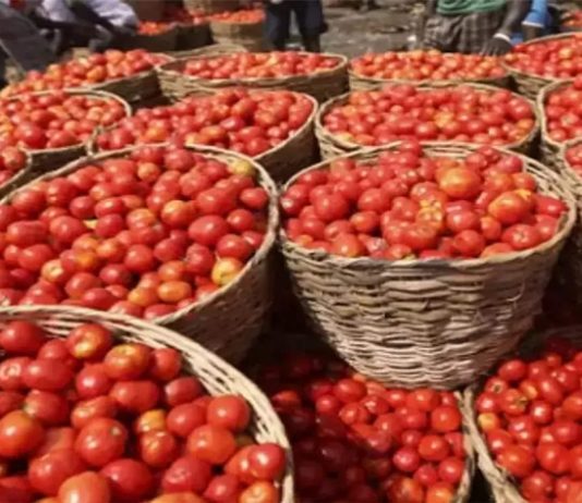महाराष्ट्र, आंध्र प्रदेश आणि कर्नाटकातून तत्काळ टोमॅटो खरेदीचे केंद्राचे निर्देश