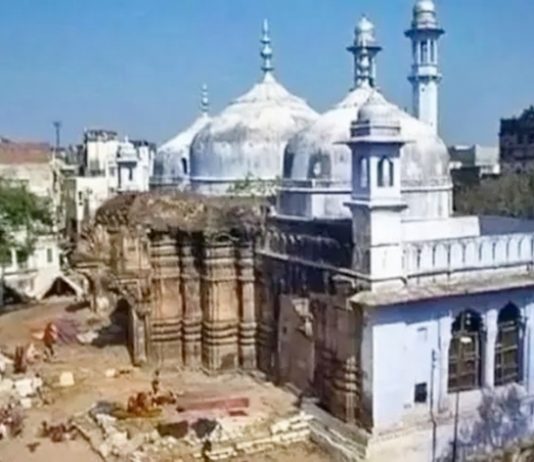 ज्ञानवापी मशिदीत भारतीय पुरातत्व विभागानं सुरु केलेल्या सर्वेक्षणाला सर्वोच्च न्यायालयानं दिली दोन दिवसांची स्थगिती