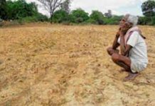 पाऊस न झाल्यानं शेतकरी चिंताग्रस्त