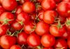 महाराष्ट्र आणि मध्य प्रदेशातून टोमॅटो बाजारात आल्यानंतर टोमॅटोचे भाव आटोक्यात येतील – केंद्र सरकार