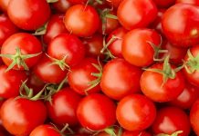 महाराष्ट्र आणि मध्य प्रदेशातून टोमॅटो बाजारात आल्यानंतर टोमॅटोचे भाव आटोक्यात येतील – केंद्र सरकार