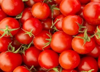 महाराष्ट्र आणि मध्य प्रदेशातून टोमॅटो बाजारात आल्यानंतर टोमॅटोचे भाव आटोक्यात येतील – केंद्र सरकार