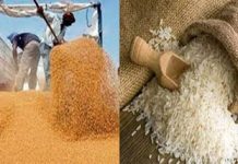 आर्थिक वर्ष २०२३-२४ च्या ई लिलावात एक लाख टनांहून अधिक गहू आणि १०० मेट्रिक टन तांदळाची विक्री