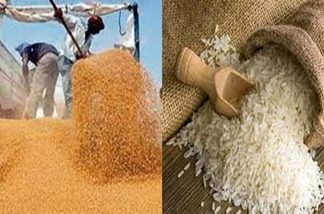 आर्थिक वर्ष २०२३-२४ च्या ई लिलावात एक लाख टनांहून अधिक गहू आणि १०० मेट्रिक टन तांदळाची विक्री