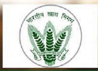 ५० लाख टन गहू आणि २५ लाख टन तांदूळ खुल्या बाजारात विकण्याचा केंद्र सरकारचा निर्णय