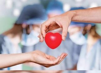 राज्यातील पहिलं ‘अवयवदान जनजागृती उद्यान’ ठाण्यात तयार करण्यात येणार