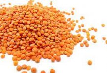 देशभरात असलेला मसूर धान्याचा साठा उघड करण्याचे केंद्र सरकारचे सक्तीचे आदेश