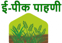 ई-पीक पाहणी मोबाईल ॲपवर पीक पाहणीच्या नोंदी करण्याचे आवाहन
