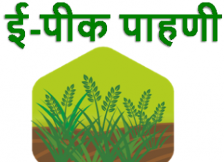 ई-पीक पाहणी मोबाईल ॲपवर पीक पाहणीच्या नोंदी करण्याचे आवाहन