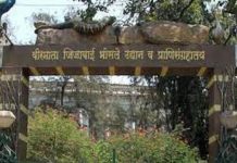 वीरमाता जिजाबाई भोसले वनस्पती उद्यान आणि प्राणिसंग्रहालय इथं दिनांक २ ते ८ ऑक्टोबर दरम्यान ‘वन्यजीव सप्ताहाचं’ आयोजन