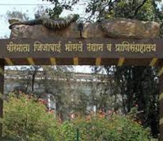 वीरमाता जिजाबाई भोसले वनस्पती उद्यान आणि प्राणिसंग्रहालय इथं दिनांक २ ते ८ ऑक्टोबर दरम्यान ‘वन्यजीव सप्ताहाचं’ आयोजन