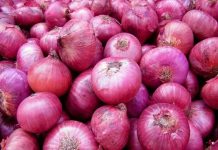 सर्वसामान्य ग्राहकांना दिलासा मिळावा म्हणून केंद्र सरकारची २५ रुपये किलो दरानं कांद्याची किरकोळ विक्री सुरु