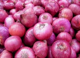 सर्वसामान्य ग्राहकांना दिलासा मिळावा म्हणून केंद्र सरकारची २५ रुपये किलो दरानं कांद्याची किरकोळ विक्री सुरु