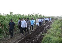 शेतकऱ्यांना नुकसान भरपाई मिळवून देण्यासाठी प्रयत्नशील- सहकारमंत्री