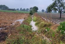 महाराष्ट्रातील काही जिल्ह्यांमध्ये अवकाळी पावसामुळे फळपिकांचं नुकसान