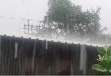 राज्यातल्या काही जिल्ह्यात मुसळधार पाऊस