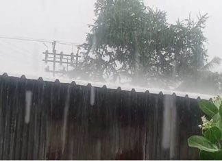 राज्यातल्या काही जिल्ह्यात मुसळधार पाऊस