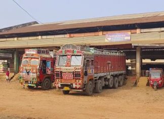 ट्रक चालकांच्या आंदोलनानंतरही मुंबईत भाजीपाल्याची आवक सुरळीत